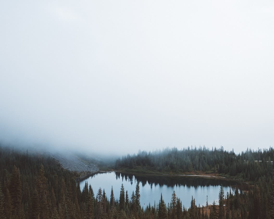 Calm Waters Ahead