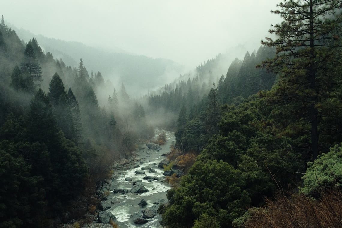 Through the Valley