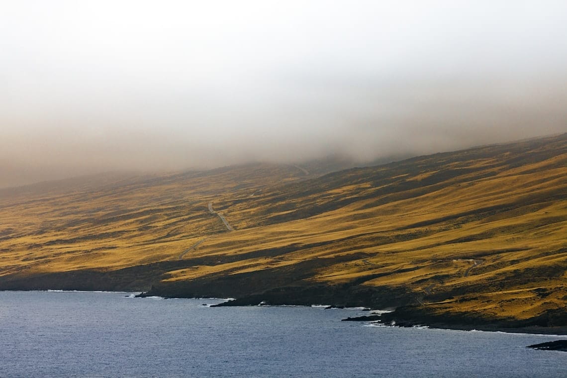 Golden Hills in the Mist