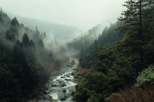 Through the Valley