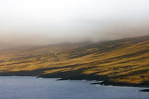 Golden Hills in the Mist